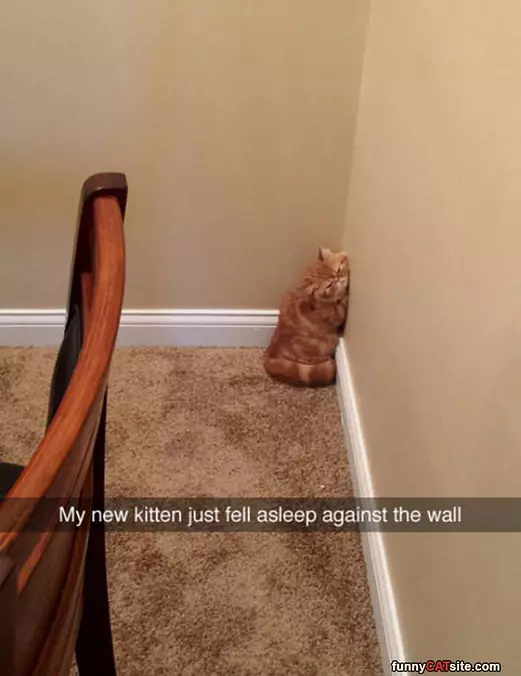 Fell Asleep