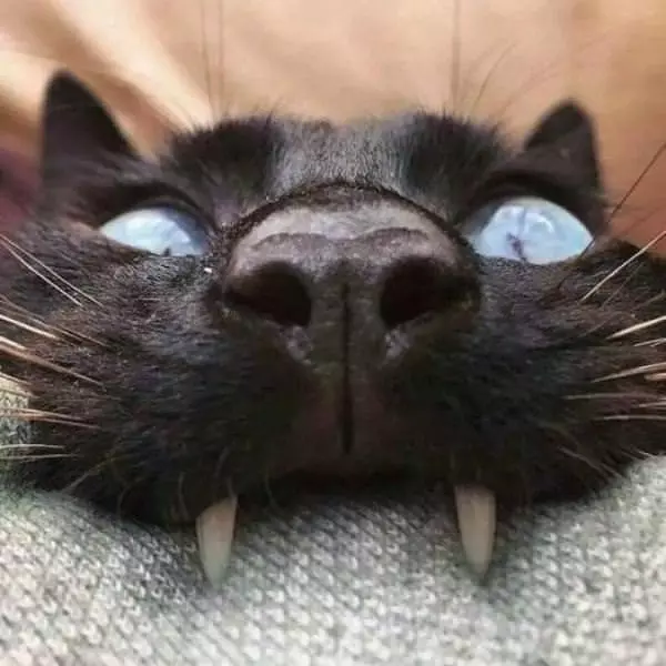 Woke Up To This Today