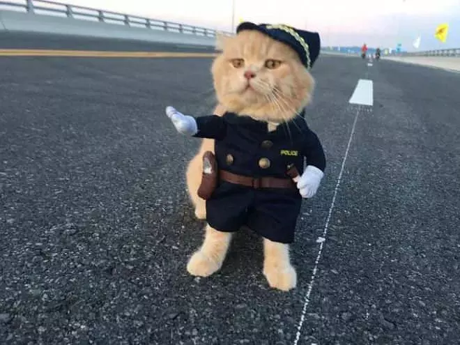 You Must Stop Here Now