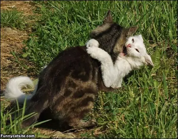 Lets Hug It Out