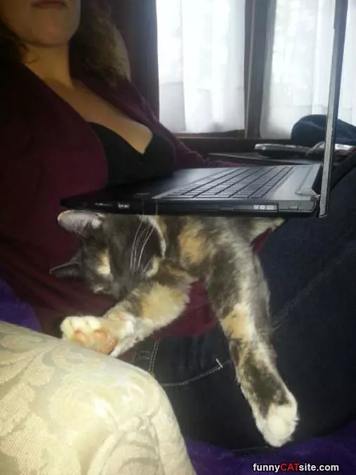 How To Get Warm