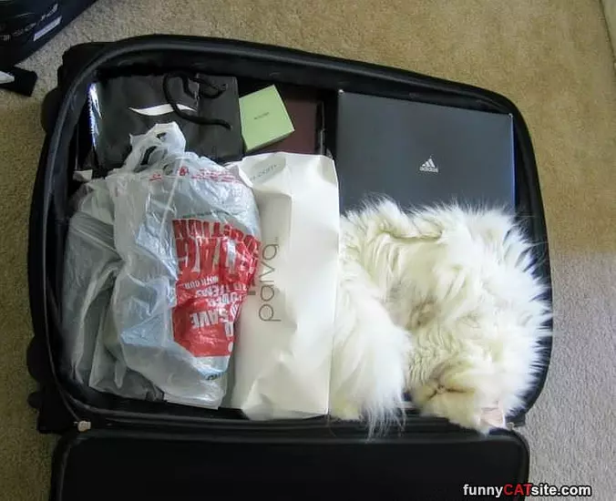 All Packed
