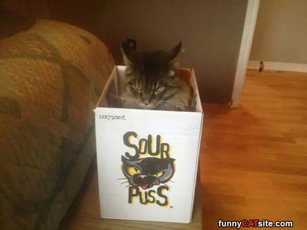 Sour