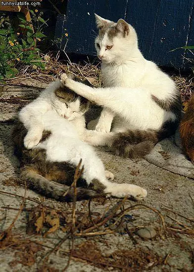 Karate Kick