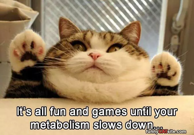 All Fun And Games