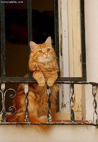 Just Looking Outside