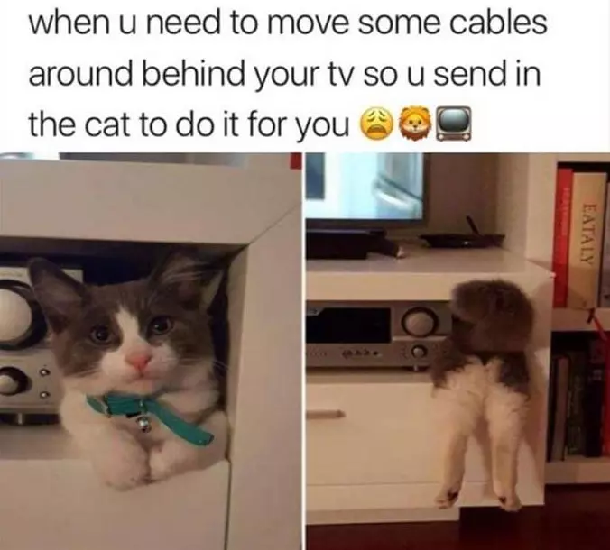 Need To Move Some Cables