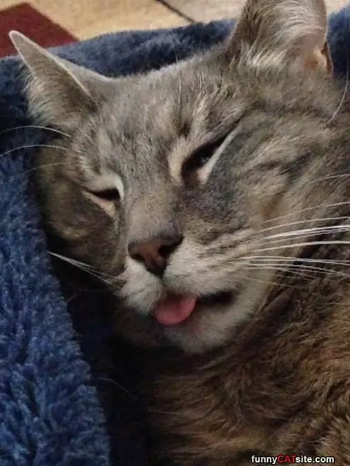 I Sleeps Funny