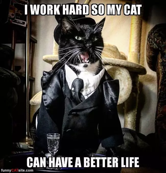 Why I Work Hard