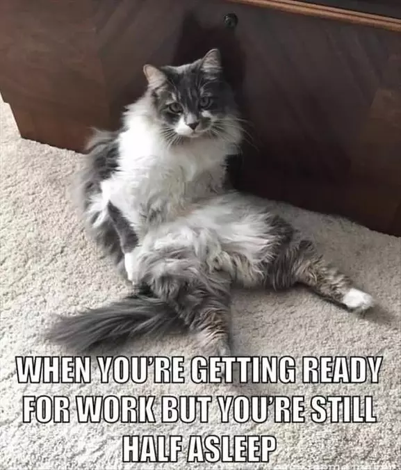 Still Half Asleep