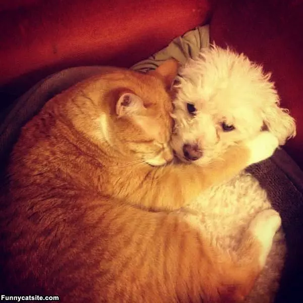 Staying Warm Together