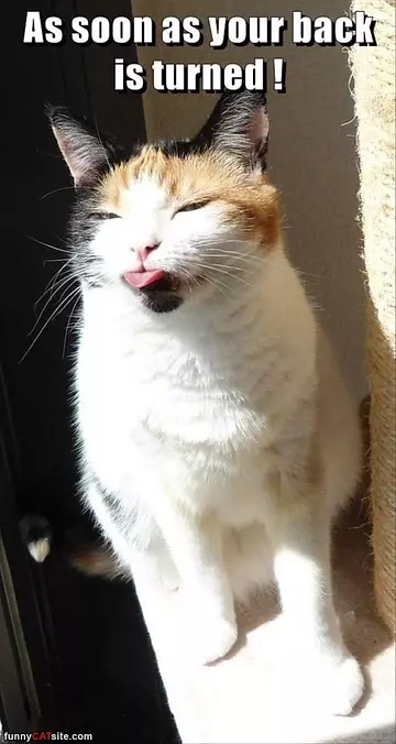 When You Turned Your Back