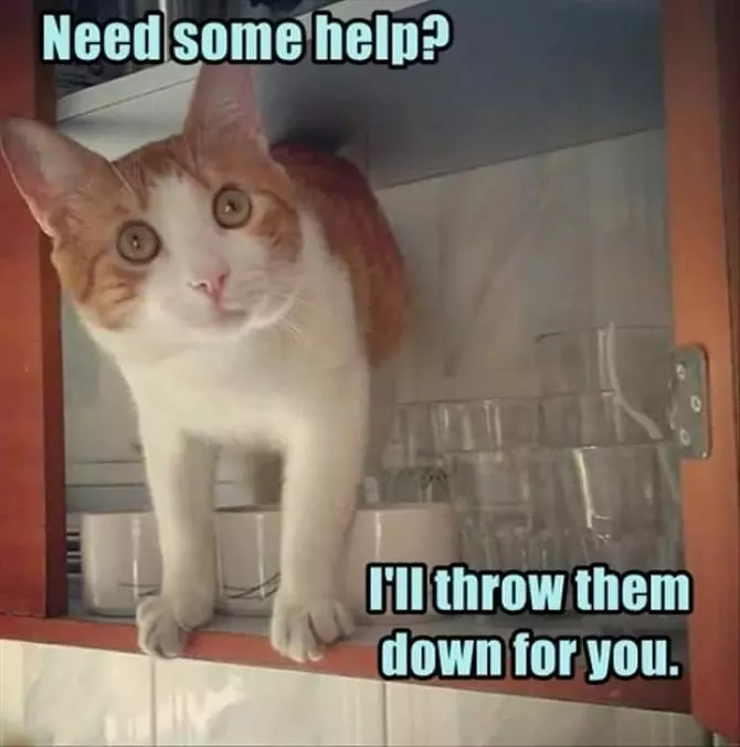 Do You Need Some Help