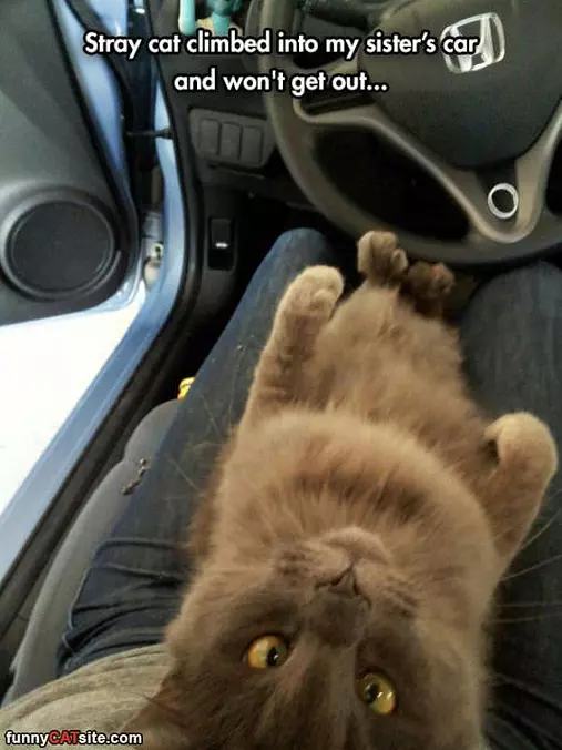 Wont Get Out