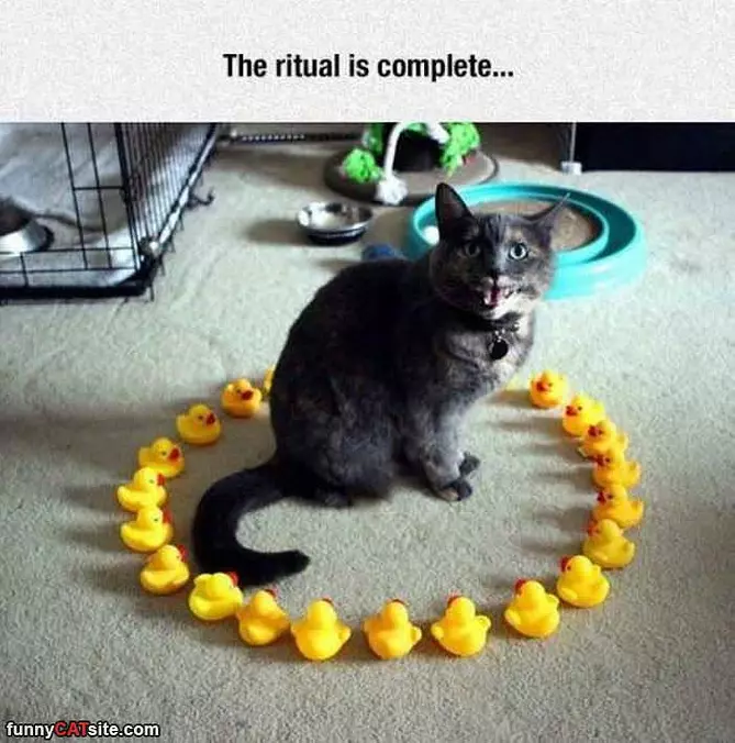 The Ritual Is Complete