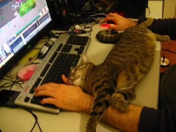 Im Resting
