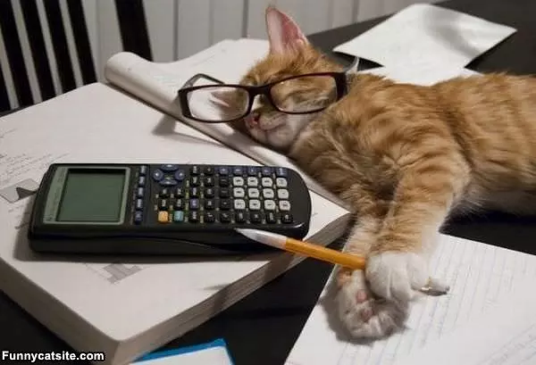 Homework Done