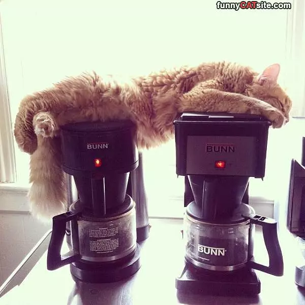 These Things Are Warm