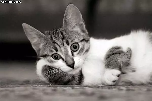 Hanging Out