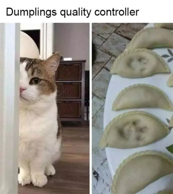 Quality Control