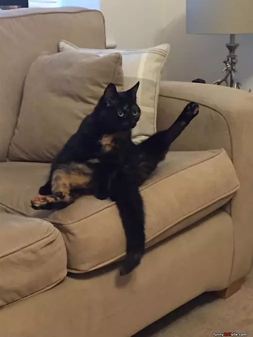 Got My Leg Up