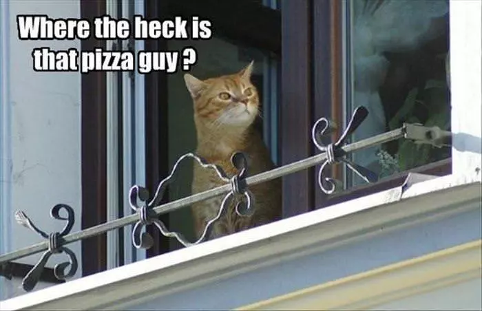 Where Is That Pizza Guy