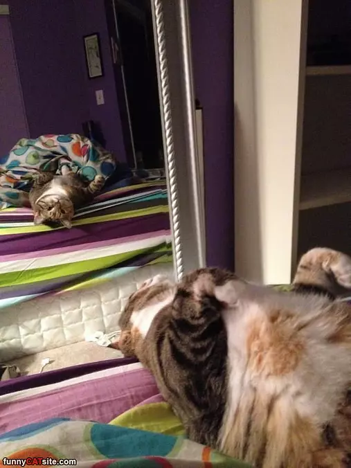 Staring At Myself