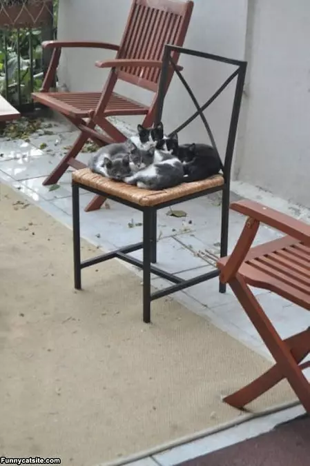 We Like This Chair