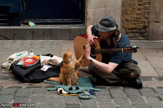 High Five
