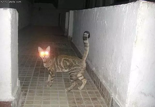 Charged