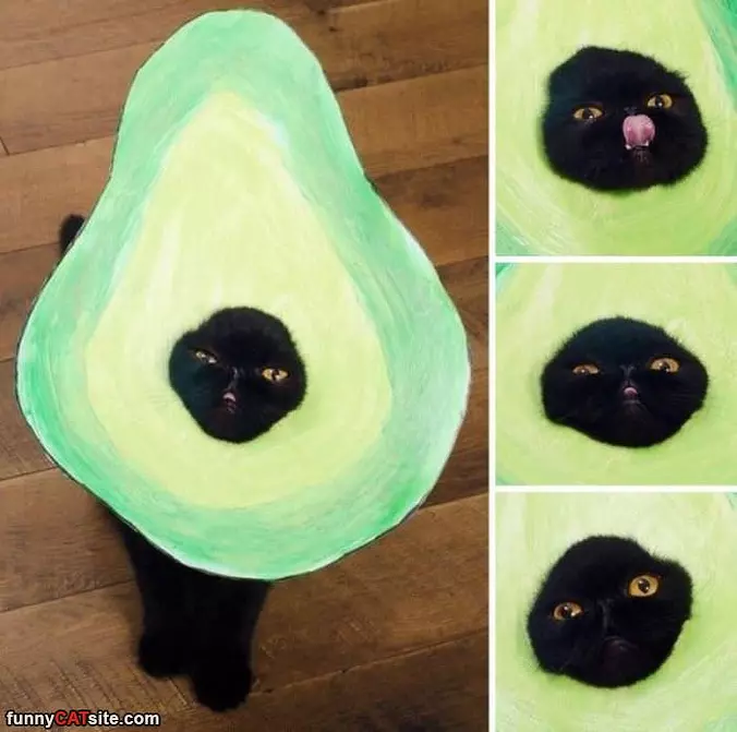 My Amazing Costume