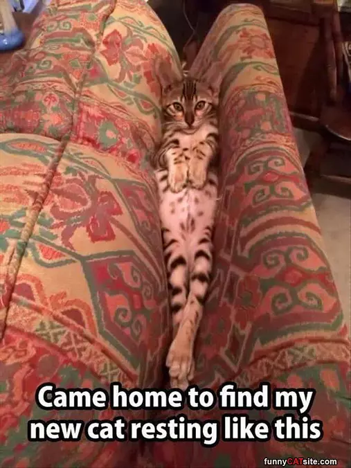 This Is How I Rest