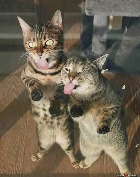 Lickkkkk