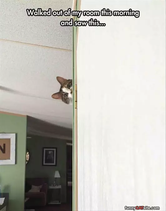 Walked Out Of My Room