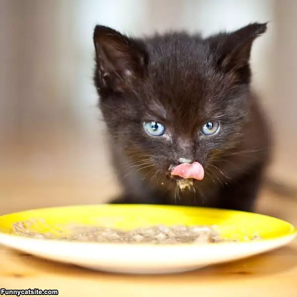 Super Yummy