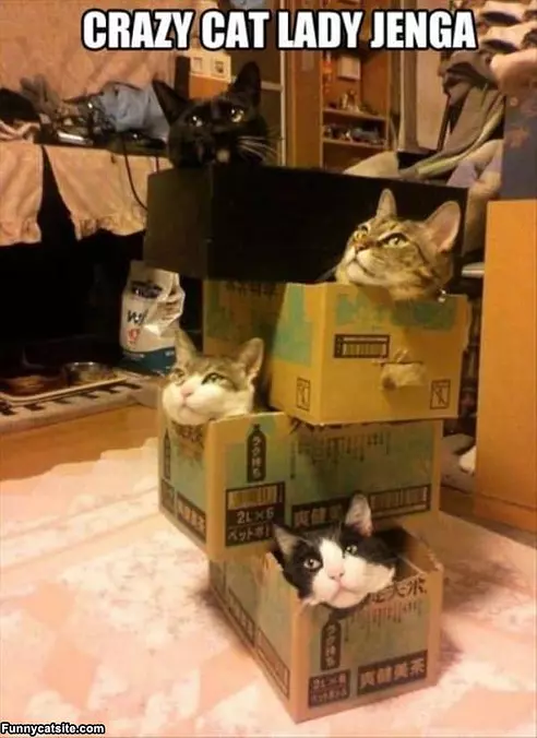 Jenga