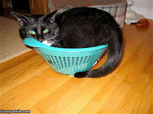 Mah Basket