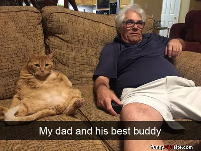 Best Buddy