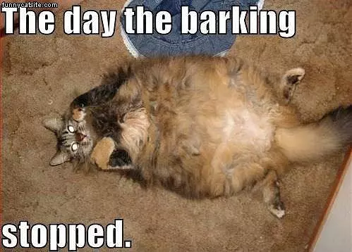 No More Barking