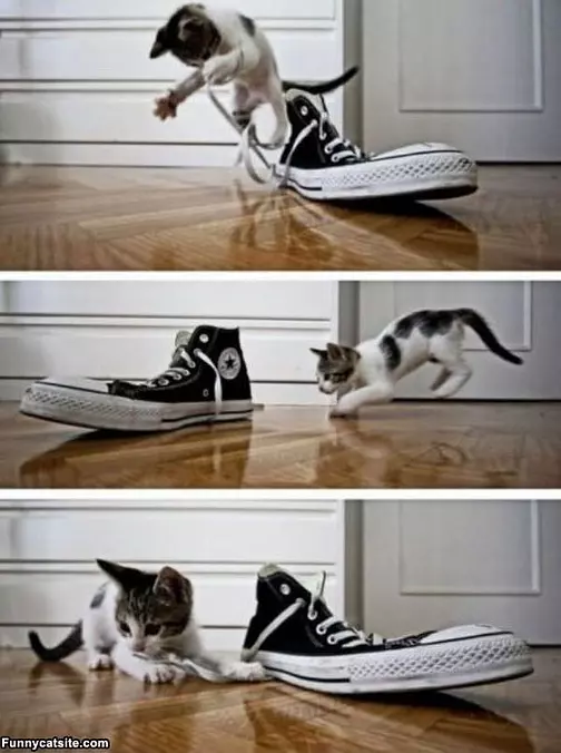 Playing With Shoes