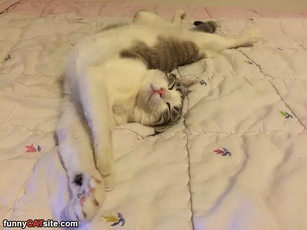 Just Relaxing Here A Bit