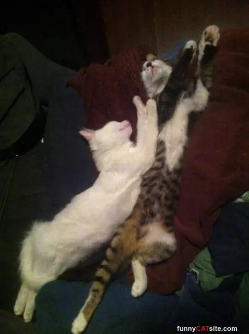 Stretchy Sleep
