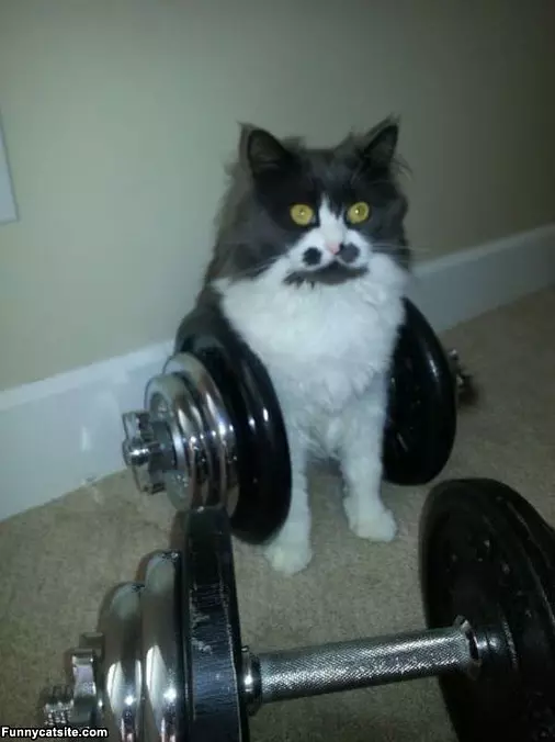 Getting A Good Workout In