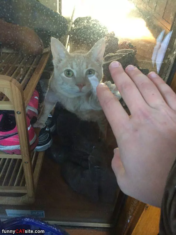 High 5 Bro