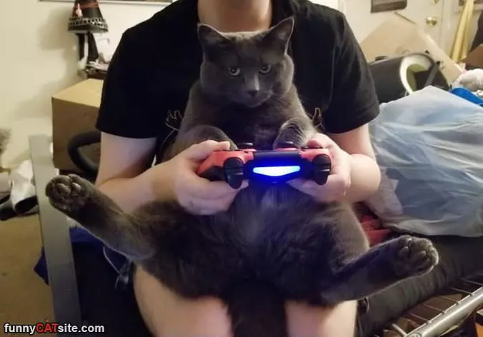 Playing Video Games
