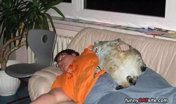 How We Nap