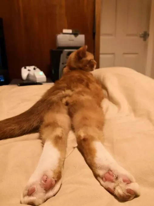 I Sleep Relaxed