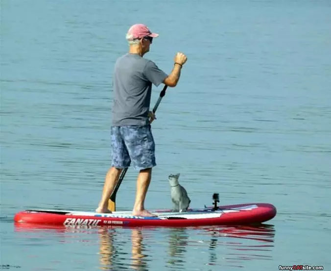 Paddle Boating
