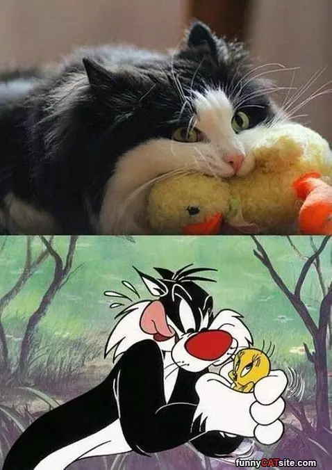 In Real Life