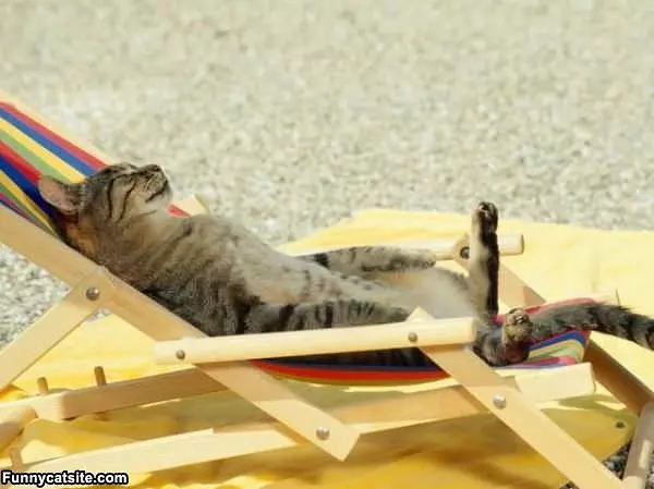 Sun Tan